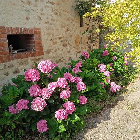 Bed and Breakfast L'Amalgam' Ainay-le-Vieil Exterior foto
